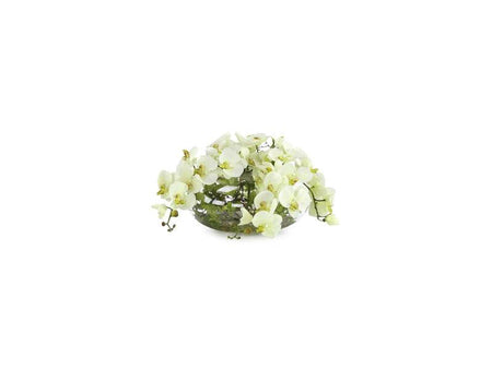 TIARA ORCHIDS - Mobilart