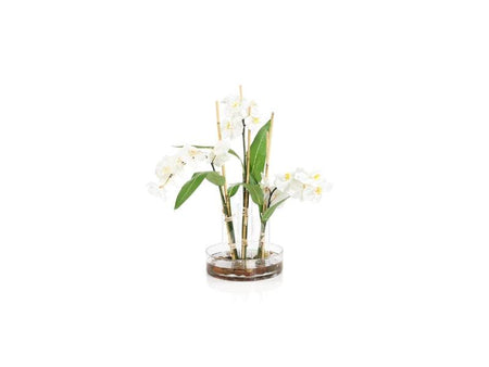 WINONA ORCHIDS - Mobilart