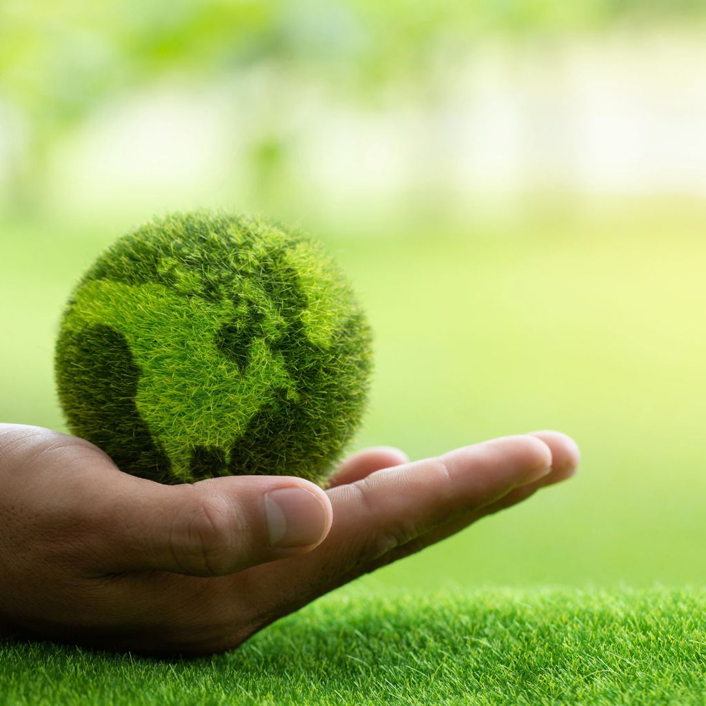 Sustainable Luxury at Mobilart