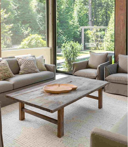 Kid & Pet Friendly Performance Rugs