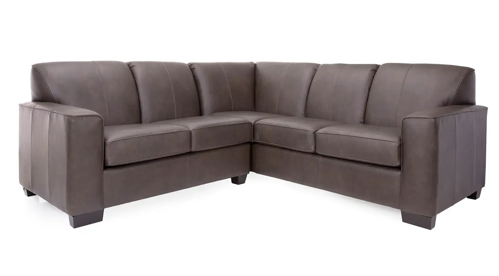 Ivana leather sectional shown as a wipeable surface option within the pet-proof sofa comparison guide.
