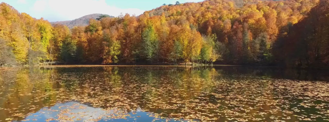 Love of nature leads to protection of nature.